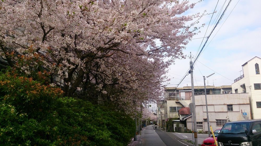 Shoei Daini Bekkan Kochi  Bagian luar foto
